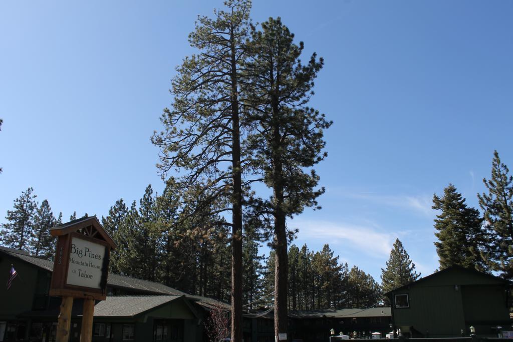 Big Pines Mountain House Motel South Lake Tahoe Exterior photo